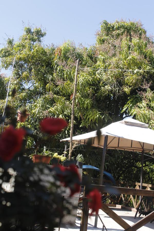 La Casa Del Jardin Bed & Breakfast Tuxtla Gutiérrez Cameră foto